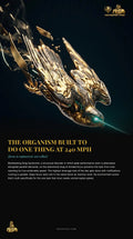 DR.CHICKS Case File 19-003 — The Peregrine Falcon cover