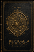 DR.CHICKS Case File 03-002 - The Physarum Slime Mold clinical intervention protocol cover