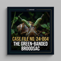 DR.CHICKS Case File 24-004 - The Green-Banded Broodsac cover