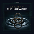 DR.CHICKS Case File 26-004 - The Hairworm cover
