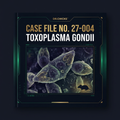 DR.CHICKS Case File 27-004 - Toxoplasma gondii cover